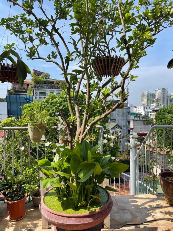 May Residence-800M From Opera House ハノイ市 エクステリア 写真