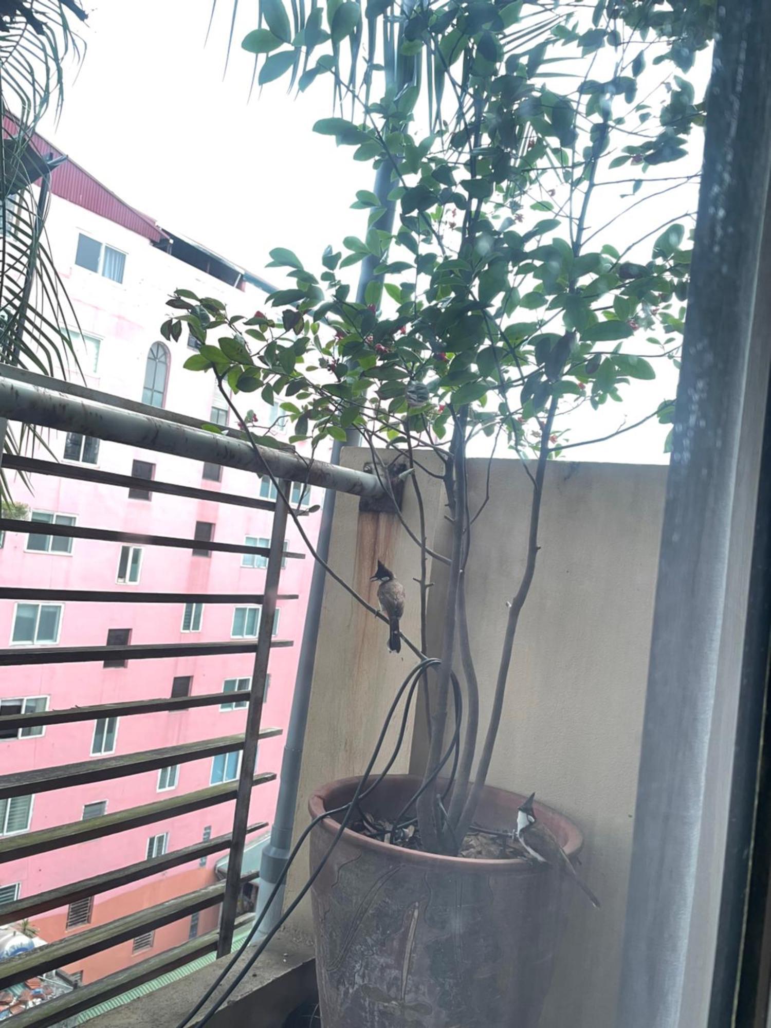 May Residence-800M From Opera House ハノイ市 エクステリア 写真
